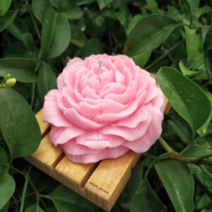 Peony flower candle