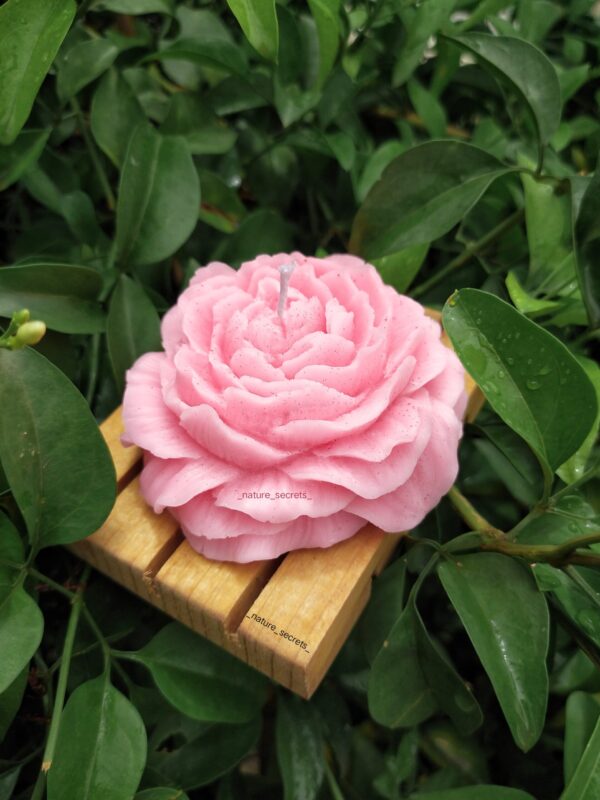 Peony flower candle